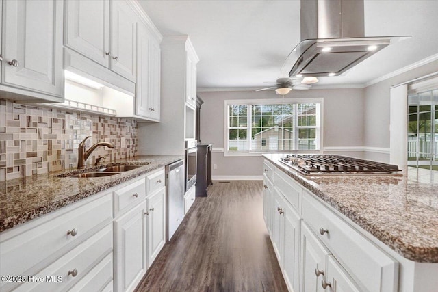 kitchen with crown molding, dark wood-style floors, a sink, appliances with stainless steel finishes, and exhaust hood