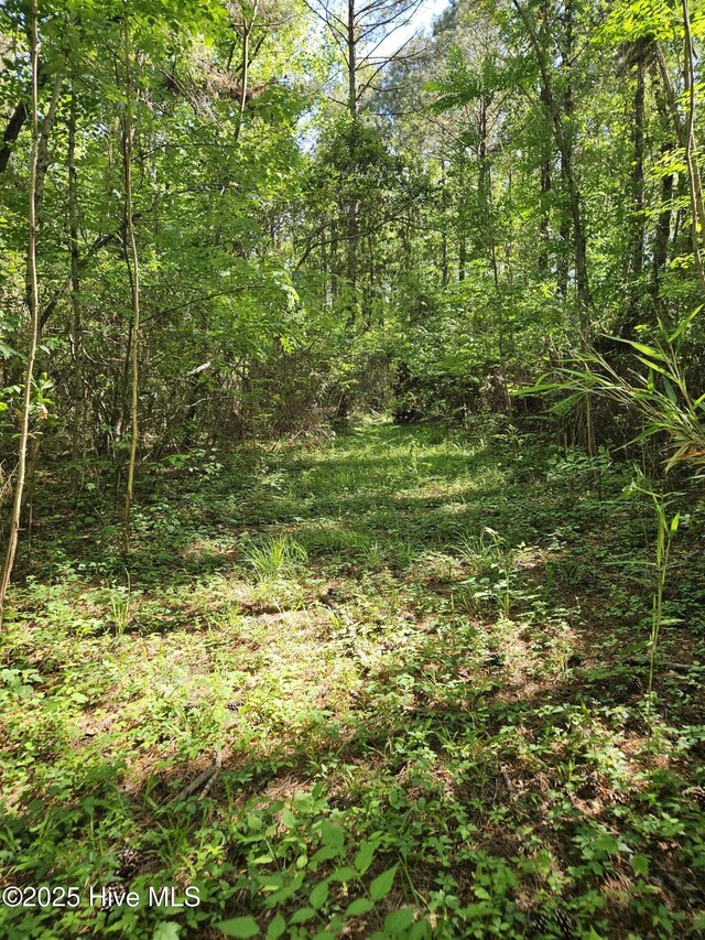 416 Sandy Ridge Rd Unit 4, Tyner, NC 27980