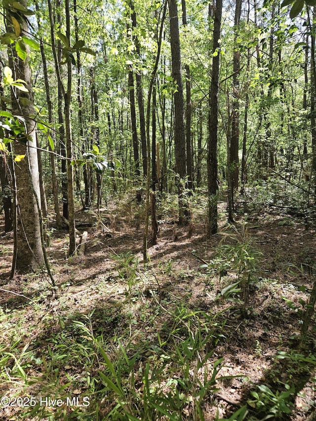 416 Sandy Ridge Rd Unit 4, Tyner, NC 27980