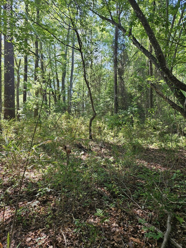 416 Sandy Ridge Rd Unit 4, Tyner, NC 27980