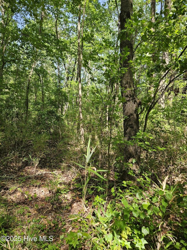 416 Sandy Ridge Rd Unit 4, Tyner, NC 27980
