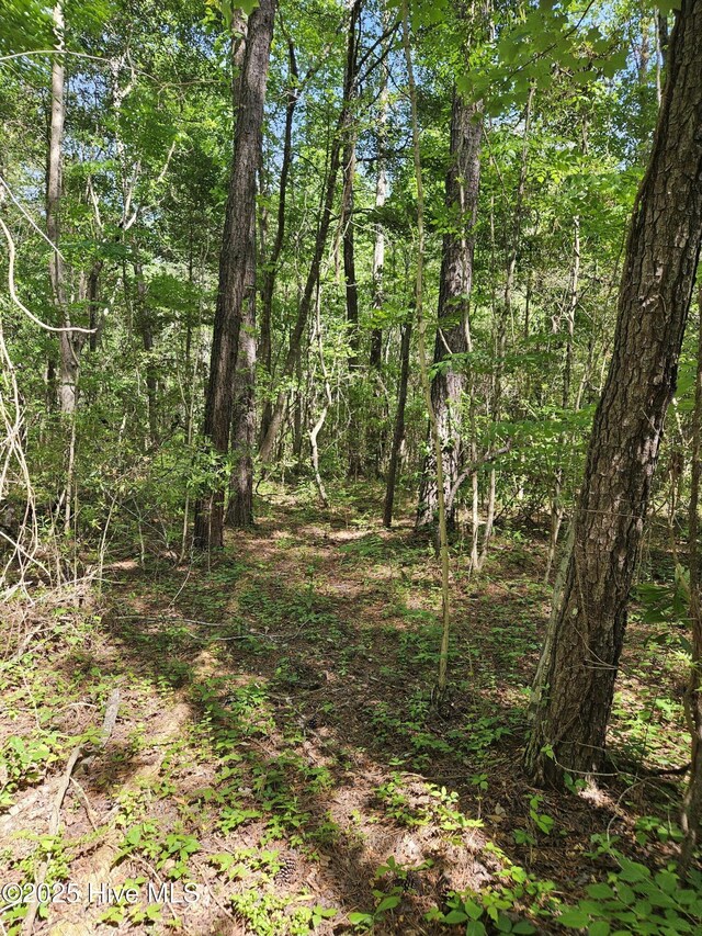 416 Sandy Ridge Rd Unit 4, Tyner, NC 27980