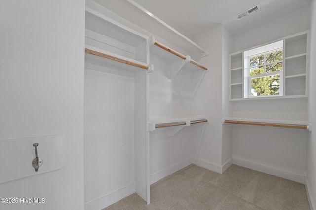 101 Wiley St, Washington, NC 27889 - spacious closet featuring visible vents and light carpet