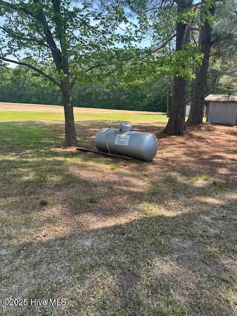 714 S Brown Rd, Enfield, NC 27823 - view of yard