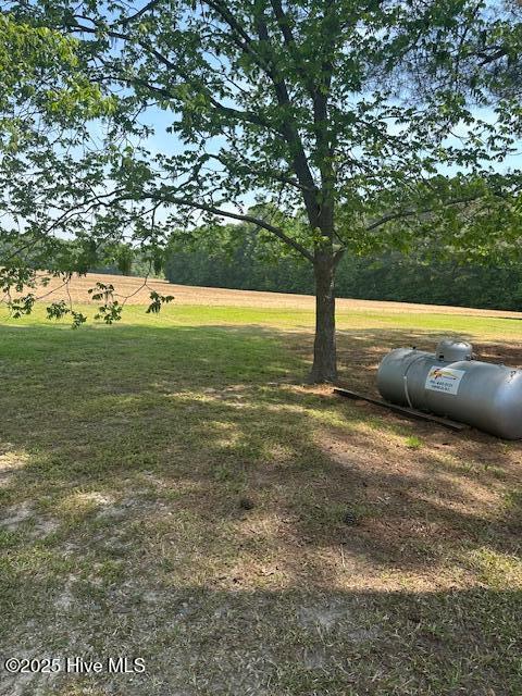 714 S Brown Rd, Enfield, NC 27823 - view of yard