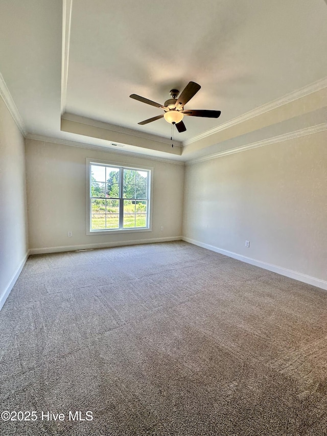 empty room with crown molding, carpet, and a raised ceiling