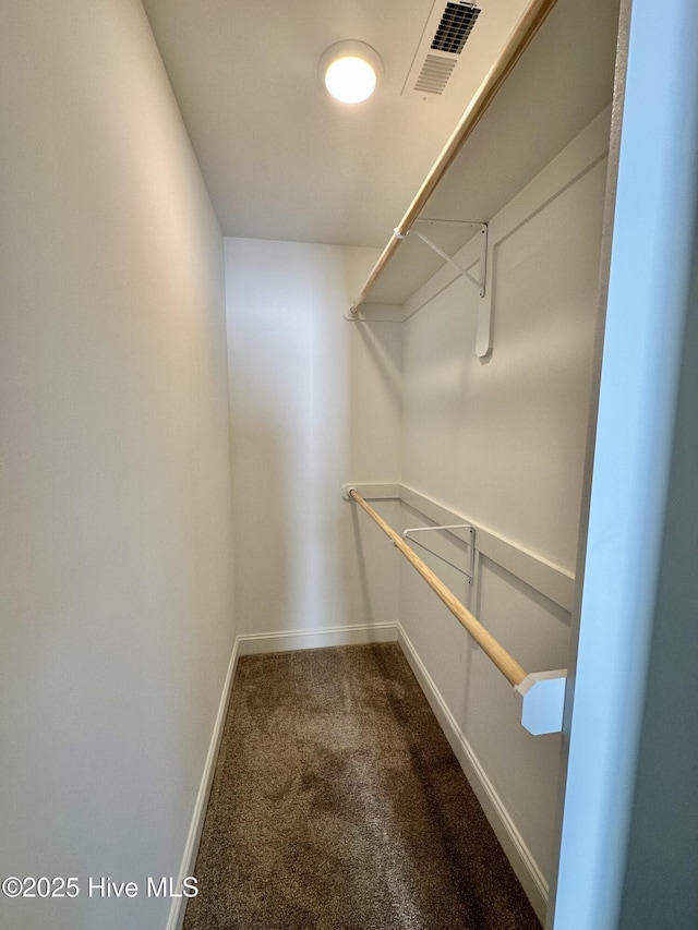 spacious closet featuring carpet flooring and visible vents
