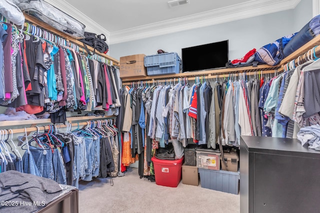 spacious closet with carpet flooring and visible vents
