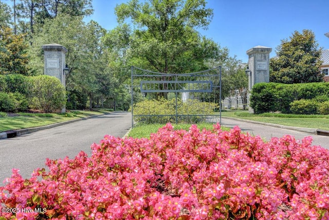 view of property's community