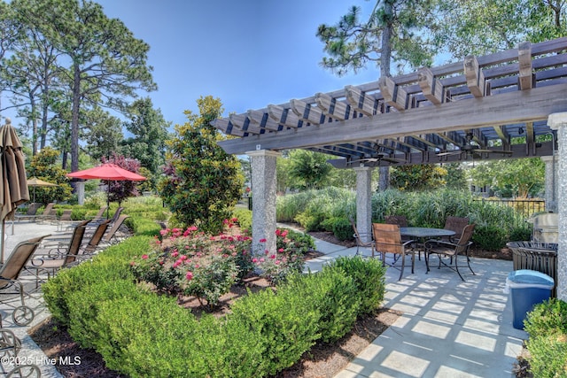view of patio featuring outdoor dining area and a pergola