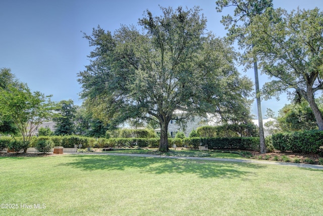 view of grassy yard