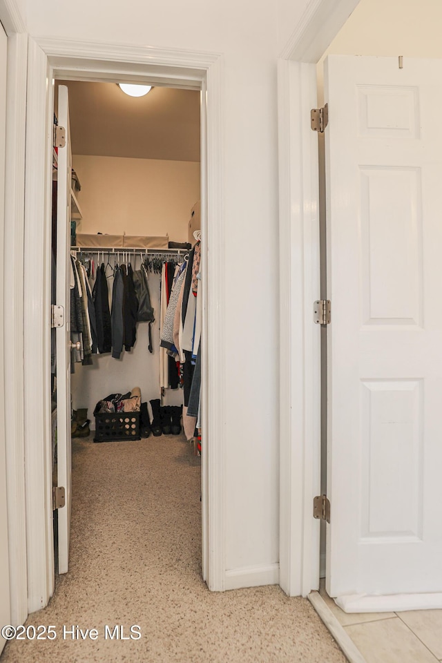 view of walk in closet