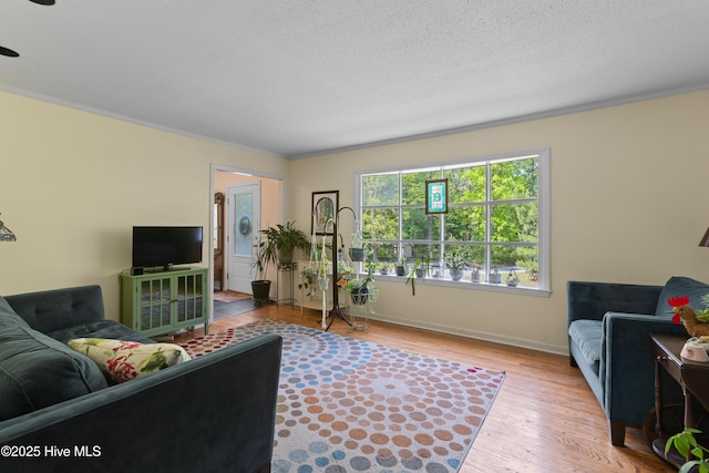 703 Baby Doe Cir, Hampstead, NC 28443 - living area with baseboards, ornamental molding, a textured ceiling, and wood finished floors