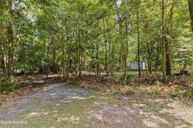 703 Baby Doe Cir, Hampstead, NC 28443 - view of yard featuring a storage shed, a forest view, and an outdoor structure