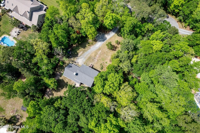 703 Baby Doe Cir, Hampstead, NC 28443 - drone / aerial view
