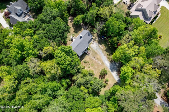 703 Baby Doe Cir, Hampstead, NC 28443 - drone / aerial view