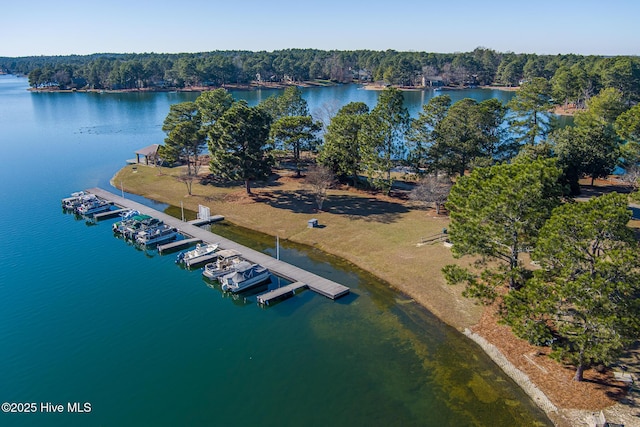 180 Lancashire Ln, West End, NC 27376 - drone / aerial view with a water view and a view of trees