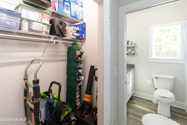 151 Windsor Ln, Edenton, NC 27932 - view of storage room