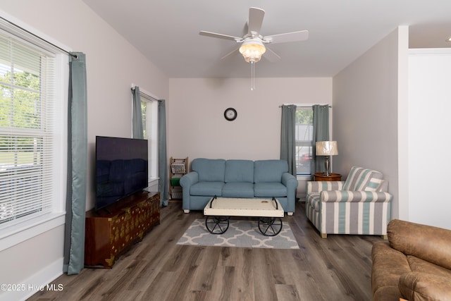151 Windsor Ln, Edenton, NC 27932 - living area featuring a ceiling fan, wood finished floors, and a wealth of natural light