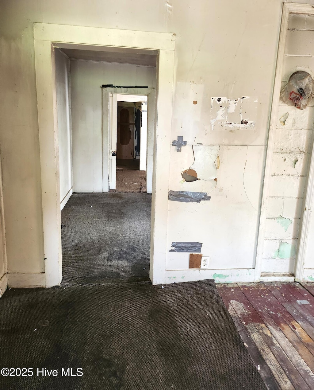 corridor with carpet