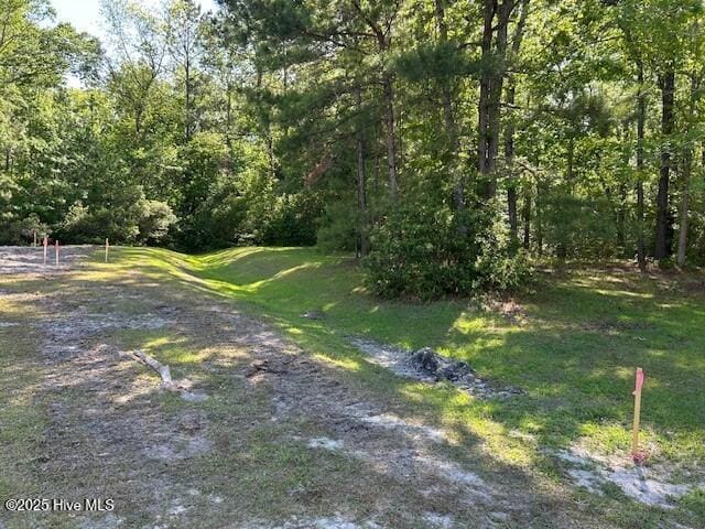 1400 Pindo Ct SE Unit 18, Bolivia, NC 28422