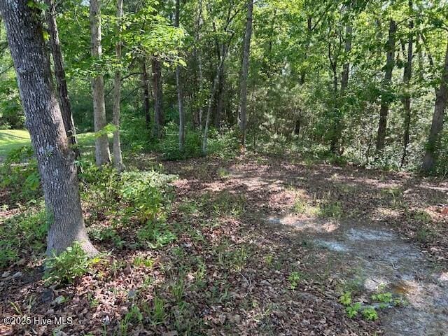 1400 Pindo Ct SE Unit 18, Bolivia, NC 28422