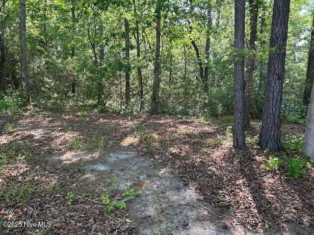1400 Pindo Ct SE Unit 18, Bolivia, NC 28422