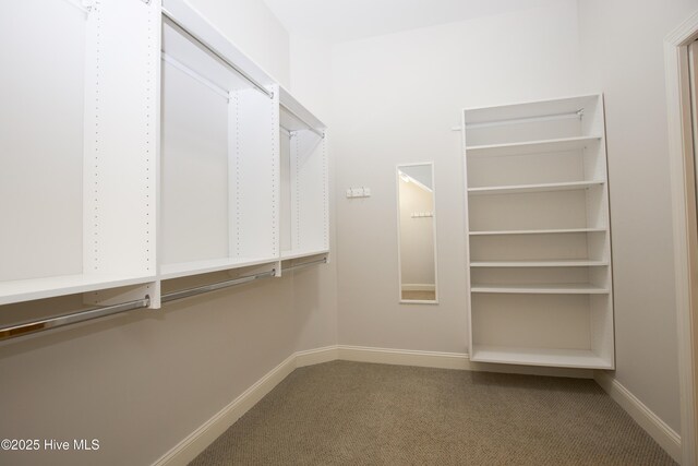 4 Cordelia Way, Vass, NC 28394 - spacious closet with carpet floors