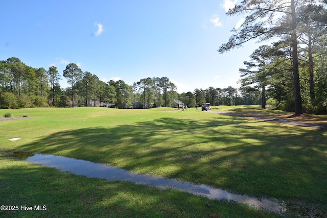 view of community with view of scattered trees and a yard