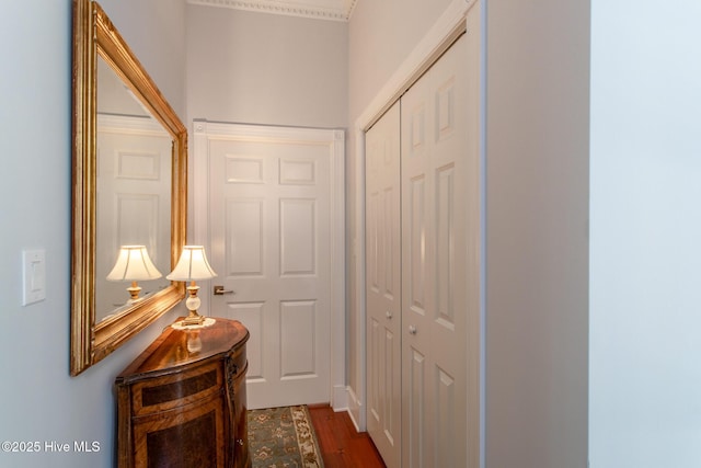 hallway featuring dark wood-style flooring