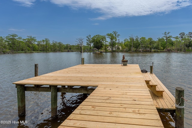 view of dock with a water view