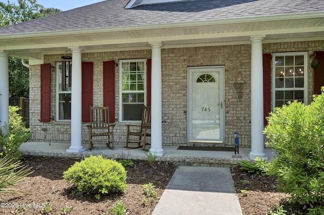 745 Royal Bonnet Dr, Wilmington, NC 28405 - doorway to property with a porch, stone siding, and roof with shingles
