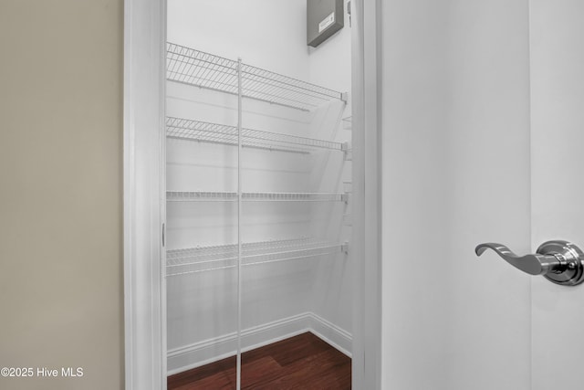 walk in closet with dark wood-style floors