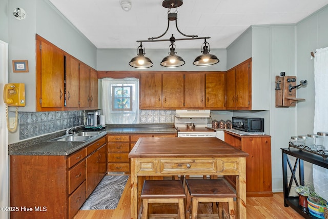 515 E Ridge St, Rose Hill, NC 28458 - kitchen with a sink, black microwave, brown cabinetry, light wood-type flooring, and crown molding