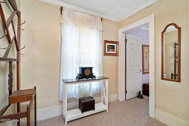 515 E Ridge St, Rose Hill, NC 28458 - hallway featuring crown molding and carpet