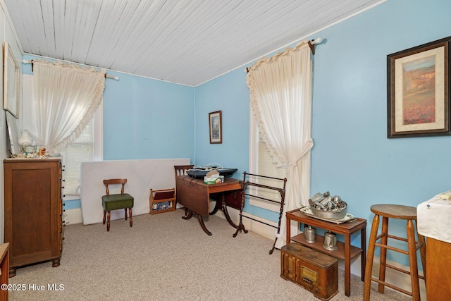 515 E Ridge St, Rose Hill, NC 28458 - living area with carpet flooring and a desk