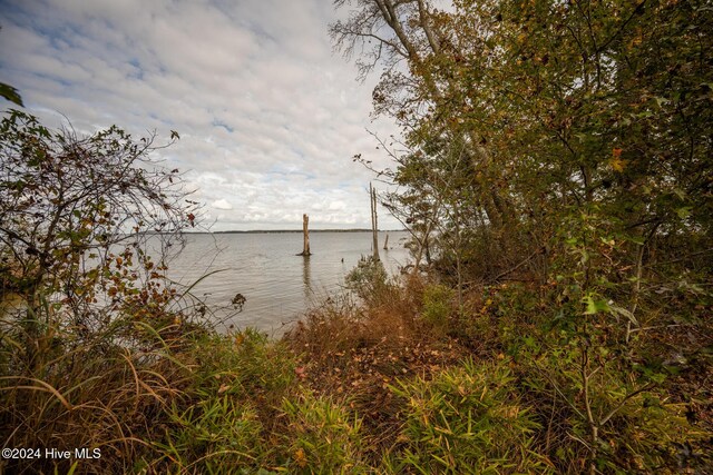 LOT50 Kildeer Ct Unit 50, Hertford, NC 27944