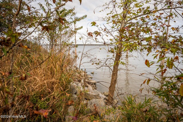 LOT50 Kildeer Ct Unit 50, Hertford, NC 27944