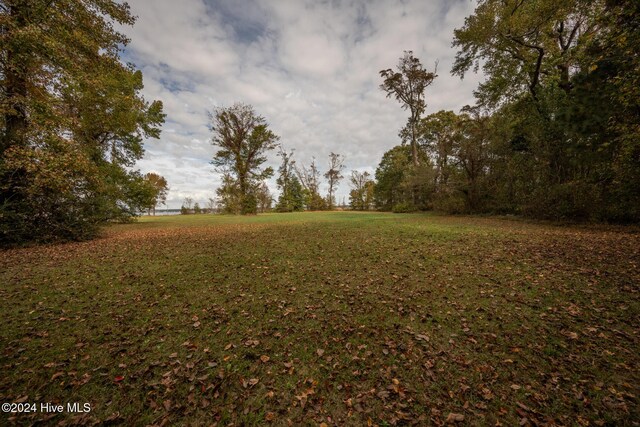 LOT50 Kildeer Ct Unit 50, Hertford, NC 27944