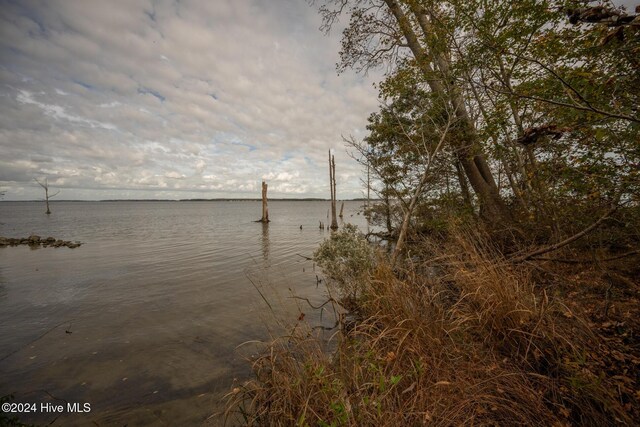 LOT50 Kildeer Ct Unit 50, Hertford, NC 27944
