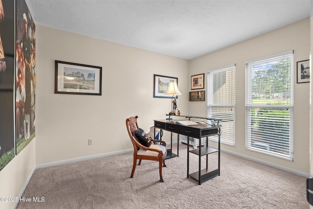 home office with light colored carpet and baseboards
