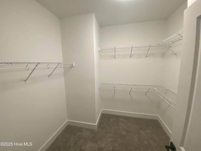 spacious closet with dark colored carpet