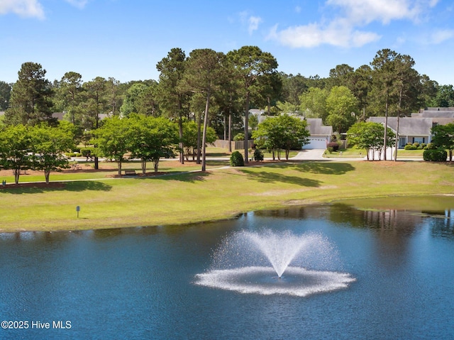 1164 Amber Pines Dr, Leland, NC 28451 - water view