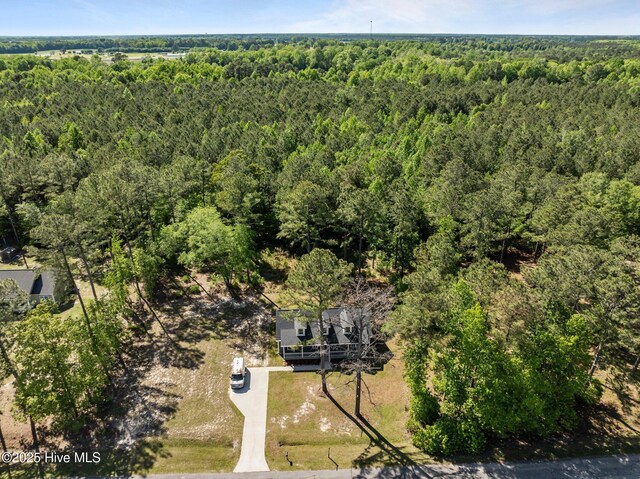 1203 English Colony Pl, Washington, NC 27889 - view from above of property featuring a forest