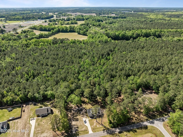 1203 English Colony Pl, Washington, NC 27889 - aerial view of property's location with a heavily wooded area