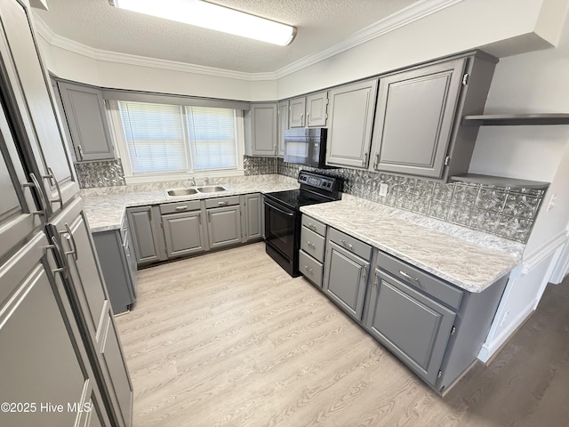 120 Ridgecrest Dr, Mount Olive, NC 28365 - kitchen with a sink, light wood-style floors, a textured ceiling, gray cabinets, and black appliances