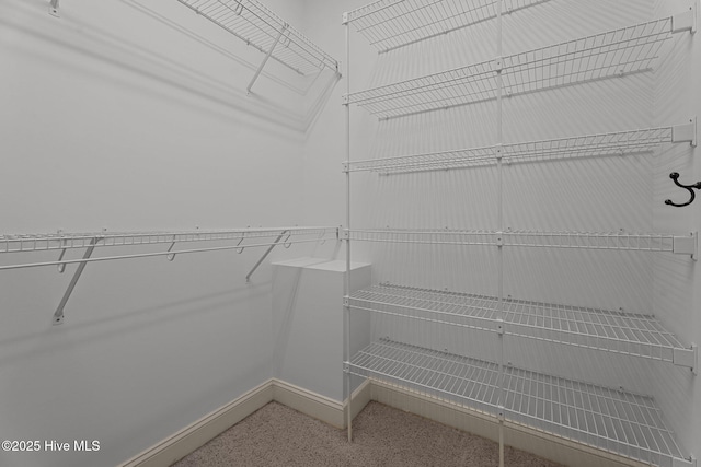 106 Cliffwell Dr, Goldsboro, NC 27530 - view of walk in closet