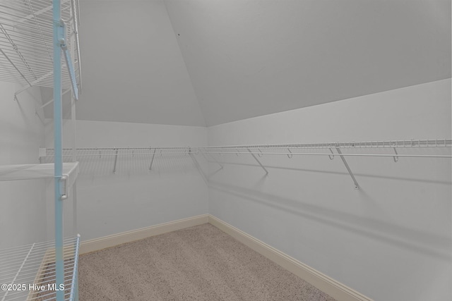 106 Cliffwell Dr, Goldsboro, NC 27530 - view of walk in closet