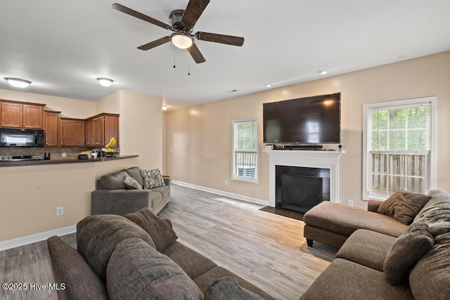 248 Seville St, Jacksonville, NC 28546 - living area with ceiling fan, wood finished floors, healthy amount of natural light, baseboards, and recessed lighting