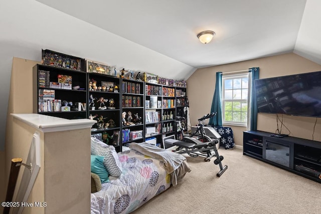 248 Seville St, Jacksonville, NC 28546 - carpeted bedroom with vaulted ceiling
